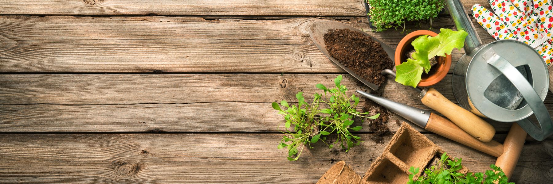 Aménagements paysagers